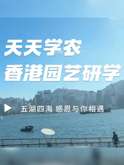 与香港园艺学会联合举办香港园艺研学，专业园境师带队讲解。